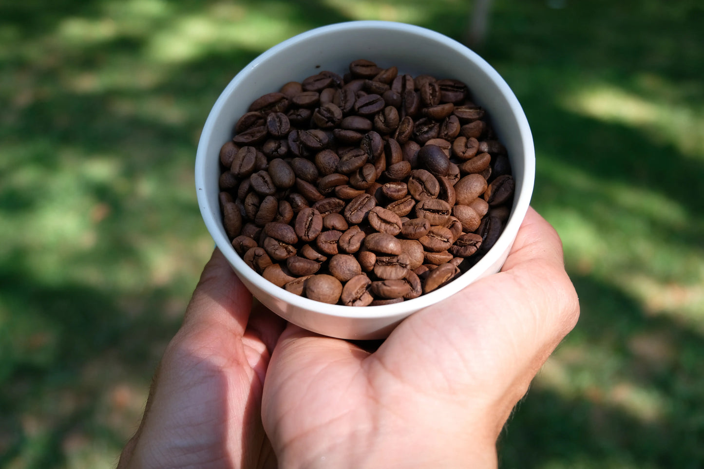 Pack espresso