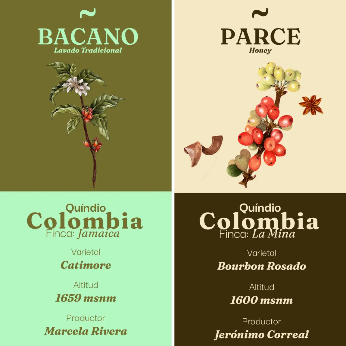 Pack Best Sellers