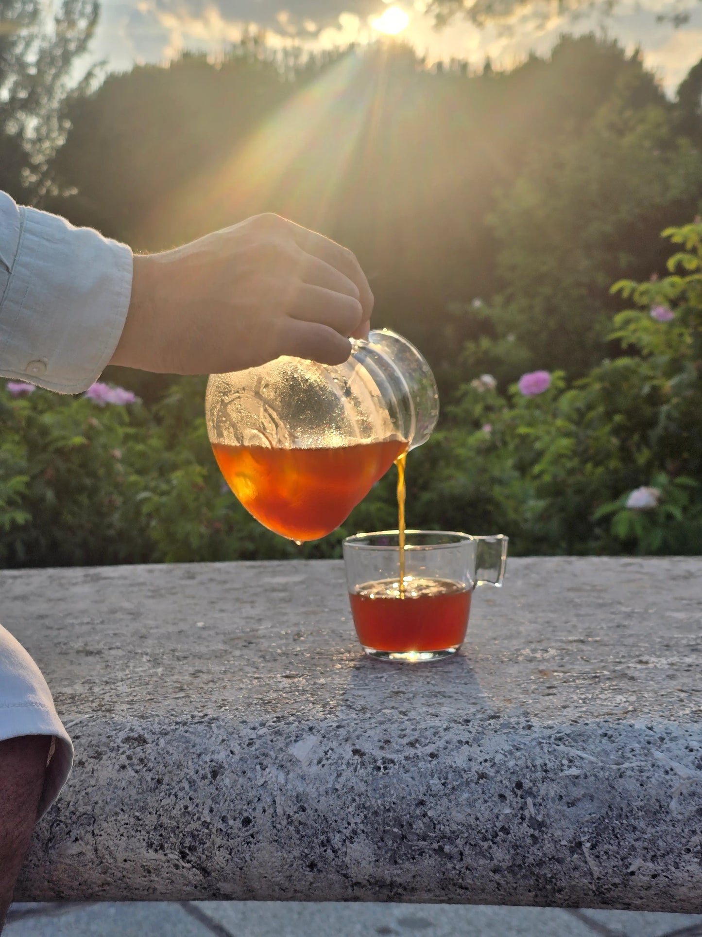 Pack Verano (Cold Brew)