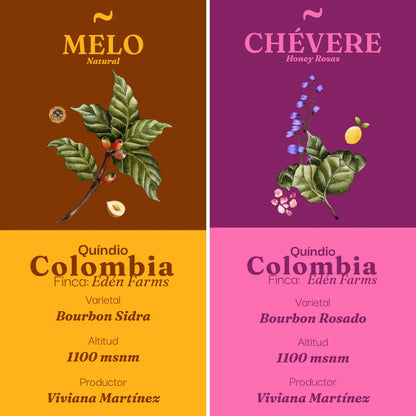Pack Verano (Cold Brew)