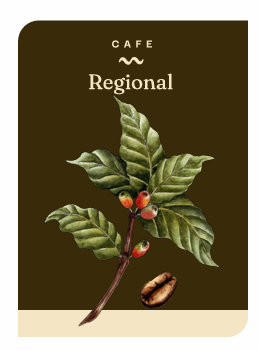 CAFÉ REGIONAL (250 GR)