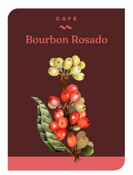 CAFÉ BOURBON ROSADO (250 GR)