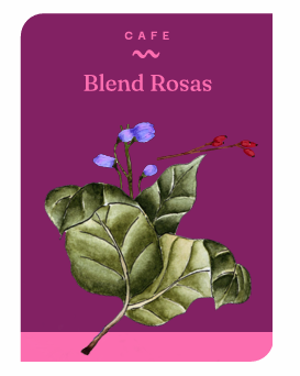 CAFÉ BLEND ROSAS (250 GR)