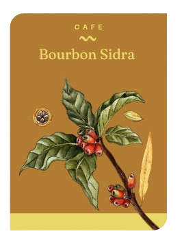 CAFÉ BOURBON SIDRA (250 GR)